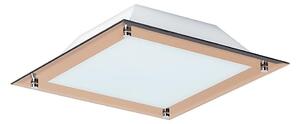 Rabalux 3045 - LED stropné svietidlo LARS 1xLED/12W/230V