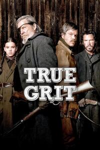 Ilustrácia True Grit (2010)