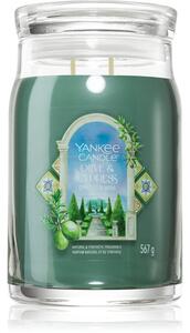 Yankee Candle Olive & Cypress vonná sviečka 567 g