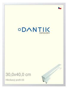 DANTIK rám na obraz 30x40 | ALU Bílá matná (Plexi Čiré)