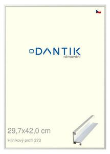 DANTIK rám na obraz 29,7x42 | ALU Bílá matná (Plexi Čiré)