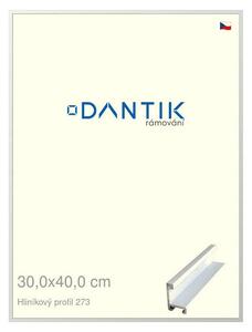 DANTIK rám na obraz 30x40 | ALU Bílá matná (Plexi Čiré)