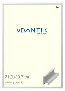 DANTIK rám na obraz 21x29,7 | ALU Bílá matná (Sklo Čiré)
