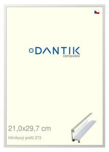 DANTIK rám na obraz 21x29,7 | ALU Bílá matná (Sklo Čiré)