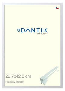 DANTIK rám na obraz 29,7x42 | ALU Bílá matná (Plexi Čiré)