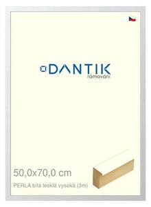 DANTIK rám na obraz 50x70 | PERLA bílá lesklá vysoká (Plexi Čiré)