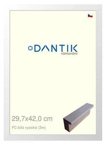 DANTIK rám na obraz 29,7x42 | FC Bílá vysoká (Plexi Čiré)