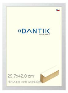 DANTIK rám na obraz 29,7x42 | PERLA bílá lesklá vysoká (Plexi Čiré)