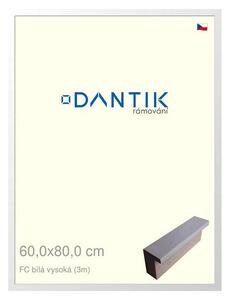 DANTIK rám na obraz 60x80 | FC Bílá vysoká (Plexi Čiré)