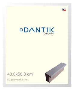 DANTIK rám na obraz 40x50 | FC Bílá vysoká (Plexi Čiré)