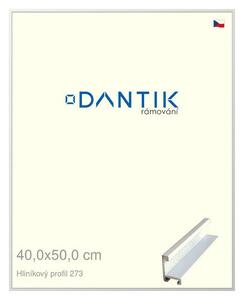 DANTIK rám na obraz 40x50 | ALU Bílá matná (Plexi Čiré)