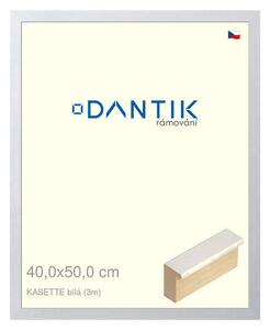DANTIK rám na obraz 40x50 | KASSETTE bílá (Sklo Čiré)