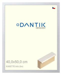 DANTIK rám na obraz 40x50 | KASSETTE bílá (Plexi Čiré)