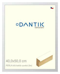 DANTIK rám na obraz 40x50 | PERLA bílá lesklá vysoká (Sklo Čiré)