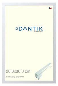 DANTIK rám na obraz 20x30 | ALU Bílá matná (Sklo Čiré)