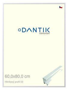 DANTIK rám na obraz 60x80 | ALU Bílá matná (Plexi Čiré)
