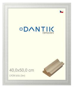 DANTIK rám na obraz 40x50 | LYON Bílá (Plexi Čiré)