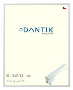 DANTIK rám na obraz 40x50 | ALU Bílá matná (Plexi Čiré)