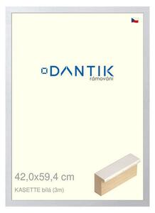 DANTIK rám na obraz 42x59,4 | KASSETTE bílá (Plexi Čiré)