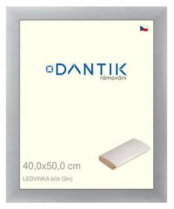 DANTIK rám na obraz 40x50 | LEDVINKA bílá (Sklo Čiré)