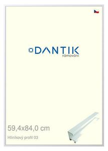 DANTIK rám na obraz 59,4x84 | ALU Bílá matná (Plexi Čiré)