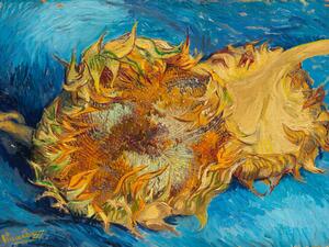 Obrazová reprodukcia Sunflowers, Vincent van Gogh