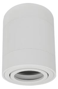 ECOLIGHT Halogénové stropné svietidlo LED trubica GU10 Pohyblivé bodové svietidlo na prisadenú montáž