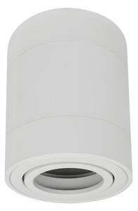ECOLIGHT Halogénové stropné svietidlo LED trubica GU10 Pohyblivé bodové svietidlo na prisadenú montáž