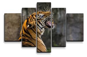 Sablio Obraz - 5-dílný Revúci tiger - 125x90 cm