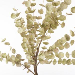 Umelá kvetina Eukalyptus green 1P132, H105cm
