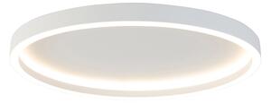 Dizajnové stropné svietidlo biele vrátane LED - Daniela