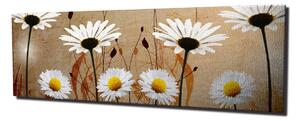 Wallity Obraz na plátne Daisies safari PC042 30x80 cm