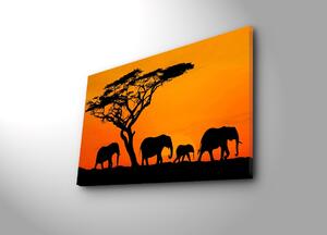 Wallity Obraz s LED osvetlením SLONIE PUTOVANIE 53 45 x 70 cm