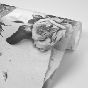 Fototapeta čiernobiele ruže v rozkvete