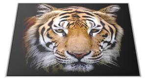 Copy of Sklenená doštička ležiaca čiernobiely tiger - 30x20cm