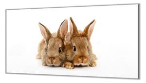 Ochranná doska dva roztomilí králici - 52x60cm / ANO