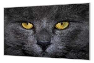 Ochranná doska detail tváre čierna mačka - 52x60cm / ANO