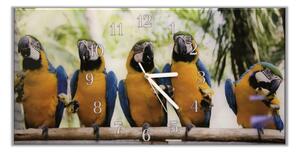 Nástenné hodiny 30x60cm papagáj ara ararauna - plexi
