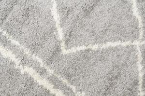 Kusový koberec Shaggy Pata šedý 120x170cm