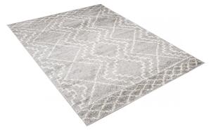 Kusový koberec shaggy Panta šedý 60x100cm