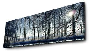 Wallity Maľba s LED osvetlením ZIMNÁ KRAJINA 37 30 x 90 cm