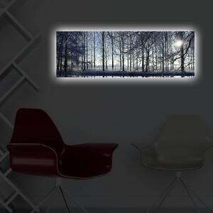 Wallity Maľba s LED osvetlením ZIMNÁ KRAJINA 37 30 x 90 cm