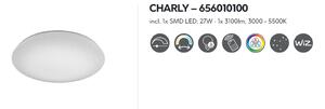 Stropné svietidlo CHARLY 656010100 D50cm LED