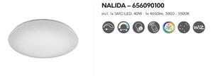Stropné svietidlo NALIDA 656090100 D74cm LED