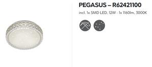 Stropné svietidlo PEGASUS R62421100 D28,6cm LED