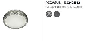 Stropné svietidlo PEGASUS R62421142 D28,6cm LED