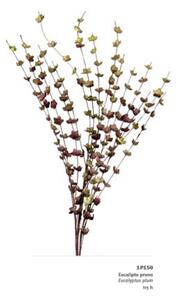 Umelá kvetina Eucalyptus plum L´OCA NERA 1P150, H115cm