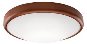LED stropné svietidlo 1xLED/24W/230V