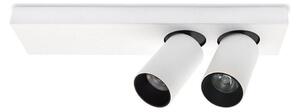 LED Stropné bodové svietidlo BERGEN 2xLED/11W/230V