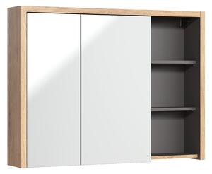 Zrkadlová skrinka DEVON 846 | 100 cm